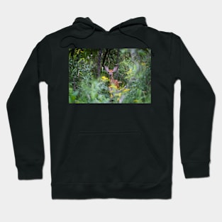 Fawn Hiding - White tailed deer Hoodie